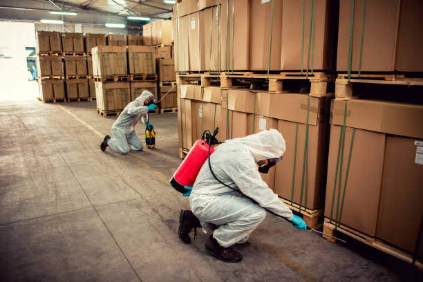 Best Ant Control Services  in Wood River, IL