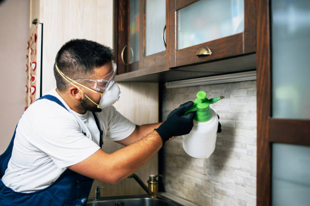 Best Bed Bug Extermination  in Wood River, IL