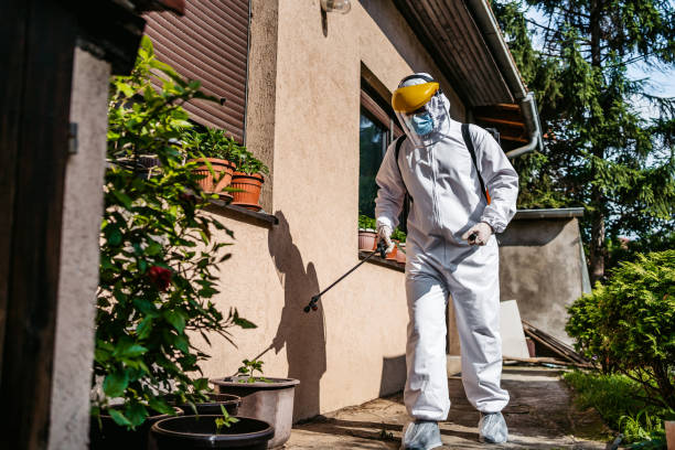 Trusted Wood River, IL Pest Control Experts
