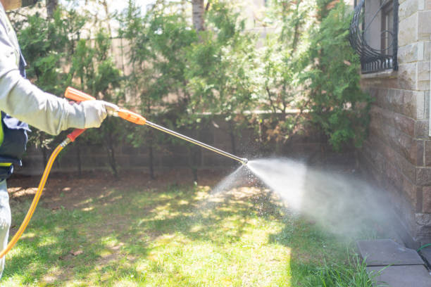 Best Affordable Pest Control Services  in Wood River, IL