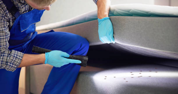 Pest Control for Restaurants in Wood River, IL