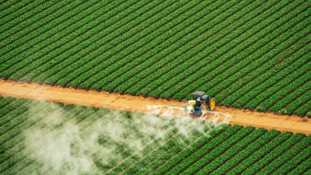 Best Commercial Pest Control Services  in Wood River, IL