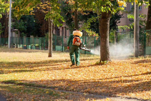 Best Best Pest Control Companies  in Wood River, IL