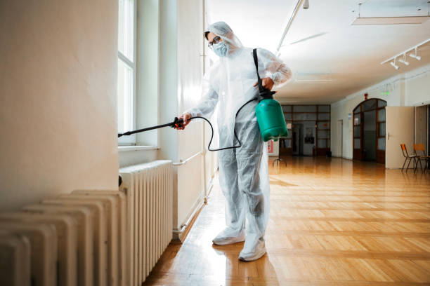Best Exterminator Services  in Wood River, IL